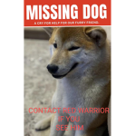 Lost dog da hood group