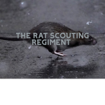 THE RAT SCOUTING REGIMENT!