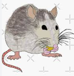 Chez Rats :3
