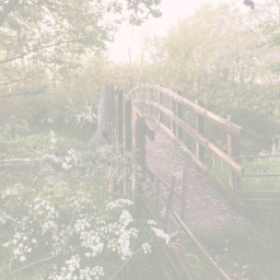 ❀