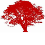 Rapid Tree