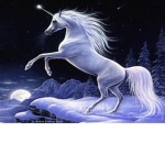 Cirra's Fav Unicorns