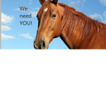 horse nations
