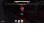 the kid of ninja fan is david and on broookhaven:)