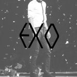 E.X.O. Fashion ®