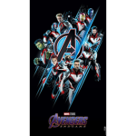 The Avenger Fan Group