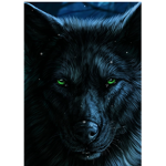 The wolves place
