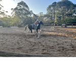 {-{Pine Hollow Riding Accademy}-}