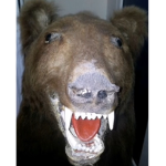 SHIRT LOL