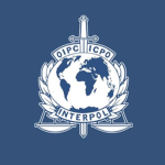 Interpol ‌ ‌ ‌ ‌