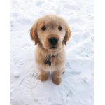 !hi