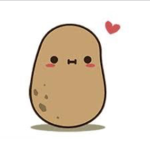 Family of potatoes