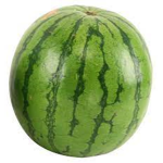 melon gang for life