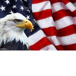 USA friends