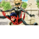 LADYBUG AND CAR NOIR FANDOM