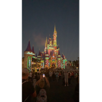 Disney obsession