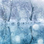 Winter Studioss