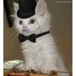 The Fancy Cats
