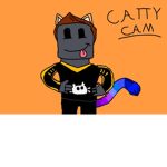 The catty cam group