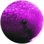 You must specify a name Roblox badge thumbnail