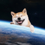 NON-HUMAN DOGE GANG UNITED