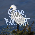 store bought