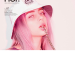 Flor-de-Lís