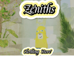 Zeniths Clothing Store