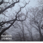 DeadDolls ୨୧