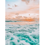 •ᴛʀᴏᴘɪᴄᴀʟ sʜɪɴᴇ•