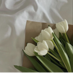 - advertising petals -