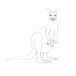 Kangaroo__Squad