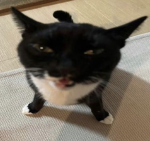 S1CKL0V3 EC0N0MY