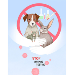 Animal자유보호조직