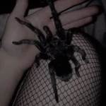 Angel gutts Group Thumbnail