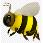 #ThehappyBeeSquad