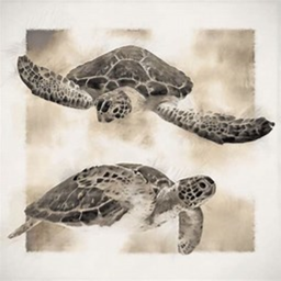 Turtle Village