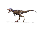 Dinosaur Friend Club!