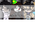 Cats n’ Friends!