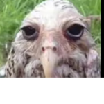 小