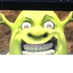 Shrek is a really dank meme