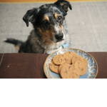 Cookies Girls <333