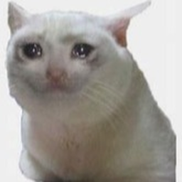 sad obby.