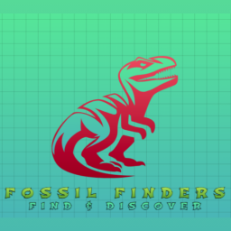 Find the dinosaurs! (Fossil Finders)