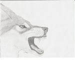 Hybrid Wolves Of Nire