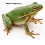Baby eater gang