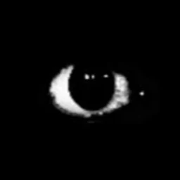 it watches.. icon