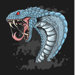 #Cobra Club