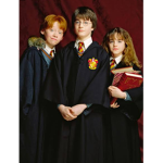 Harry Potter Fan Club: Wizards and Witches only