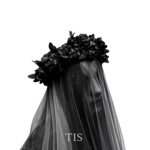 The Immortal Souls | COMP